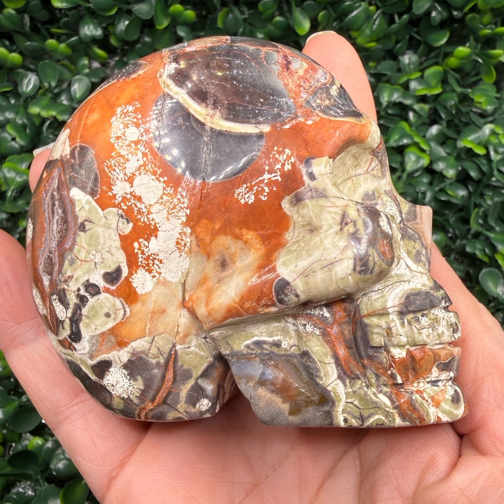 Money Agate (Indonesian Bloodstone) Skull Carving - Picture 3 of 8
